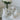 Collection Feuilles