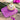 SUCRIER Chabi Chic