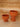 COUPE A FRUITS EMPREINTE MARSALA GOLD