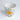 CACHES POT FRUIT ORANGE (14957962232191)