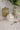 Beurrier Ceramic Dinner Plate with White Glaze and Gold Accents