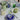 Assiettes ceramic plates, white, elegant design, fine dining dinnerware