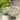 PLATS DE SERVICE DROITS Chabichicwholesale