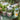 CACHE POT OU VASE Chabichicwholesale